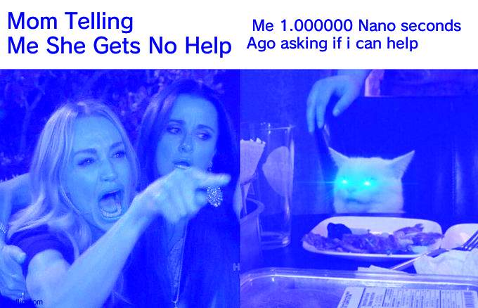 Woman Yelling At Cat Meme | Mom Telling Me She Gets No Help; Me 1.000000 Nano seconds Ago asking if i can help | image tagged in memes,woman yelling at cat | made w/ Imgflip meme maker