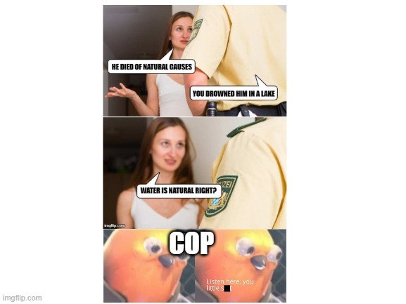 COP | image tagged in cop,interrogation,bird | made w/ Imgflip meme maker