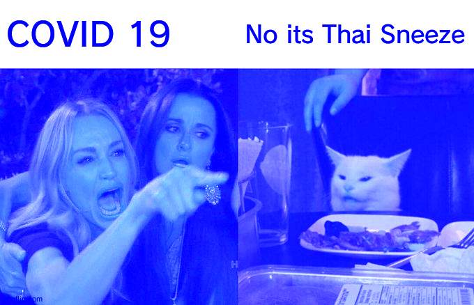 Woman Yelling At Cat | COVID 19; No its Thai Sneeze | image tagged in memes,woman yelling at cat | made w/ Imgflip meme maker