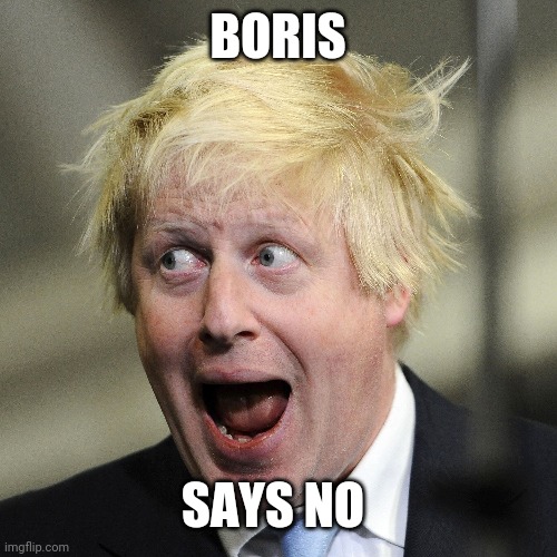 Boris Johnson | BORIS; SAYS NO | image tagged in boris johnson | made w/ Imgflip meme maker