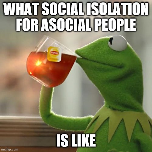 But That's None Of My Business Meme | WHAT SOCIAL ISOLATION FOR ASOCIAL PEOPLE; IS LIKE | image tagged in memes,but thats none of my business,kermit the frog | made w/ Imgflip meme maker