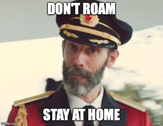 Captain Obvious | DON'T ROAM; STAY AT HOME | image tagged in captain obvious | made w/ Imgflip meme maker