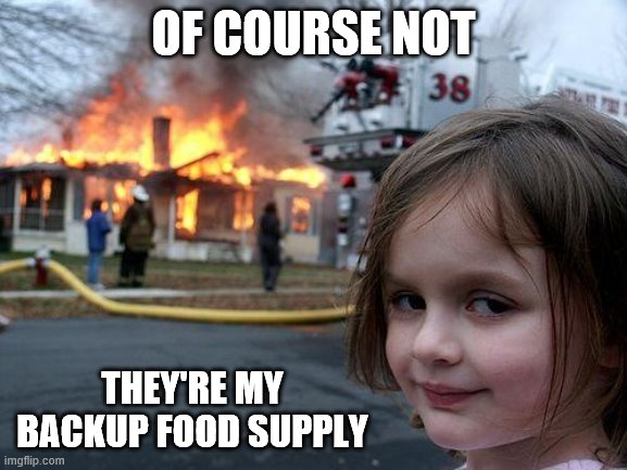 Disaster Girl Meme | OF COURSE NOT THEY'RE MY BACKUP FOOD SUPPLY | image tagged in memes,disaster girl | made w/ Imgflip meme maker