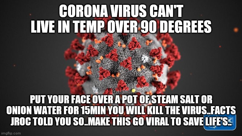 Jroc113 | CORONA VIRUS CAN'T LIVE IN TEMP OVER 90 DEGREES; PUT YOUR FACE OVER A POT OF STEAM SALT OR ONION WATER FOR 15MIN YOU WILL KILL THE VIRUS..FACTS JROC TOLD YOU SO..MAKE THIS GO VIRAL TO SAVE LIFE'S.. | image tagged in covid 19 | made w/ Imgflip meme maker