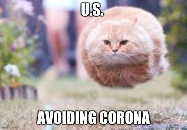 Hover Cat | U.S. AVOIDING CORONA | image tagged in hover cat | made w/ Imgflip meme maker