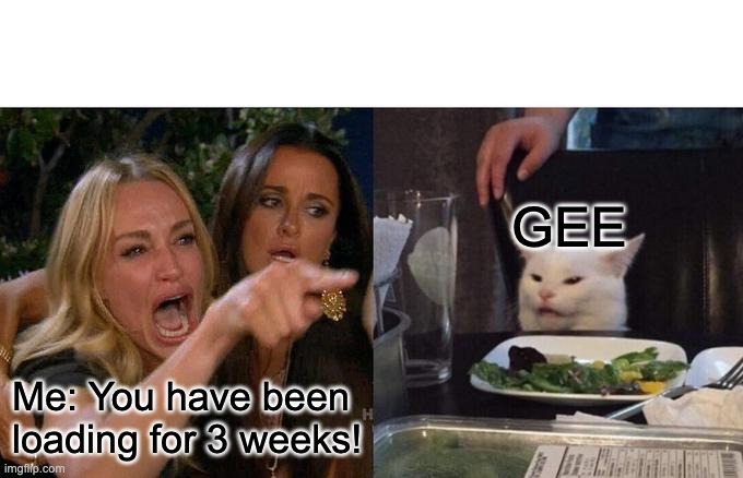 Woman Yelling At Cat | GEE; Me: You have been loading for 3 weeks! | image tagged in memes,woman yelling at cat | made w/ Imgflip meme maker