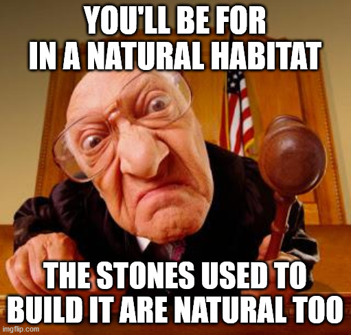Mean Judge | YOU'LL BE FOR IN A NATURAL HABITAT THE STONES USED TO BUILD IT ARE NATURAL TOO | image tagged in mean judge | made w/ Imgflip meme maker