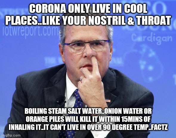 Jeb Bush Nostril Explorer | CORONA ONLY LIVE IN COOL PLACES..LIKE YOUR NOSTRIL & THROAT; BOILING STEAM SALT WATER..ONION WATER OR ORANGE PILES WILL KILL IT WITHIN 15MINS OF INHALING IT..IT CAN'T LIVE IN OVER 90 DEGREE TEMP..FACTZ | image tagged in jeb bush nostril explorer | made w/ Imgflip meme maker