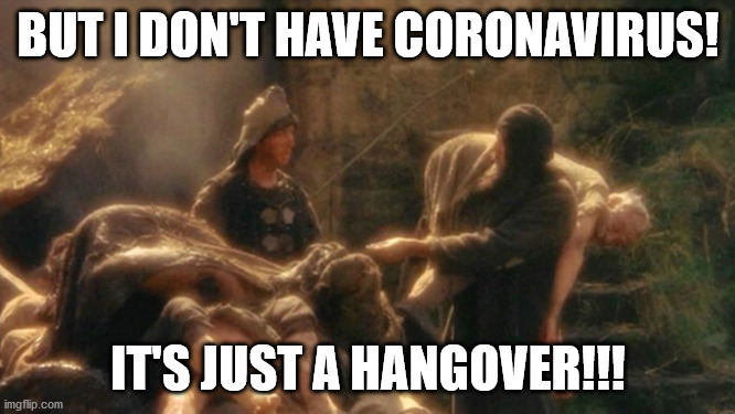 Holy Grail bring out your Dead Memes | BUT I DON'T HAVE CORONAVIRUS! IT'S JUST A HANGOVER!!! | image tagged in holy grail bring out your dead memes | made w/ Imgflip meme maker