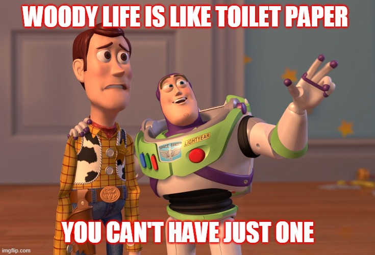 X, X Everywhere Meme | WOODY LIFE IS LIKE TOILET PAPER; YOU CAN'T HAVE JUST ONE | image tagged in memes,x x everywhere | made w/ Imgflip meme maker
