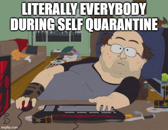 RPG Fan | LITERALLY EVERYBODY DURING SELF QUARANTINE | image tagged in memes,rpg fan | made w/ Imgflip meme maker