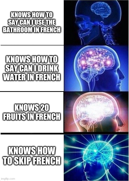 Expanding Brain | KNOWS HOW TO SAY CAN I USE THE BATHROOM IN FRENCH; KNOWS HOW TO SAY CAN I DRINK WATER IN FRENCH; KNOWS 20 FRUITS IN FRENCH; KNOWS HOW TO SKIP FRENCH | image tagged in memes,expanding brain | made w/ Imgflip meme maker