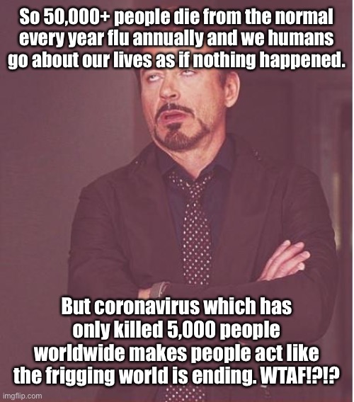 Stupid humans......-__- | So 50,000+ people die from the normal every year flu annually and we humans go about our lives as if nothing happened. But coronavirus which has only killed 5,000 people worldwide makes people act like the frigging world is ending. WTAF!?!? | image tagged in memes,face you make robert downey jr,coronavirus | made w/ Imgflip meme maker