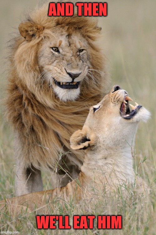 Plotting Lions | AND THEN WE'LL EAT HIM | image tagged in plotting lions | made w/ Imgflip meme maker