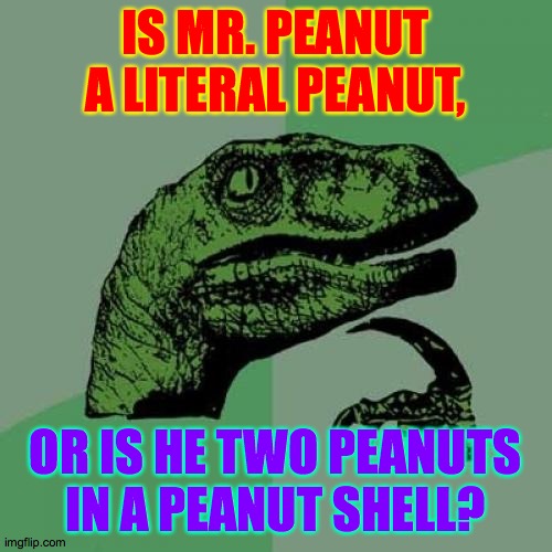 Philosoraptor Meme | IS MR. PEANUT A LITERAL PEANUT, OR IS HE TWO PEANUTS
IN A PEANUT SHELL? | image tagged in memes,philosoraptor | made w/ Imgflip meme maker