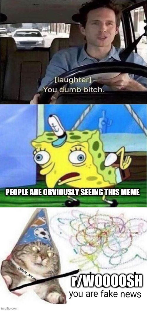 r/WOOOOSH | PEOPLE ARE OBVIOUSLY SEEING THIS MEME | image tagged in r/woooosh | made w/ Imgflip meme maker