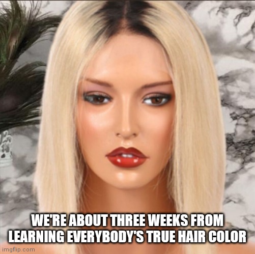 WE'RE ABOUT THREE WEEKS FROM LEARNING EVERYBODY'S TRUE HAIR COLOR | image tagged in hair,roots,yikes | made w/ Imgflip meme maker
