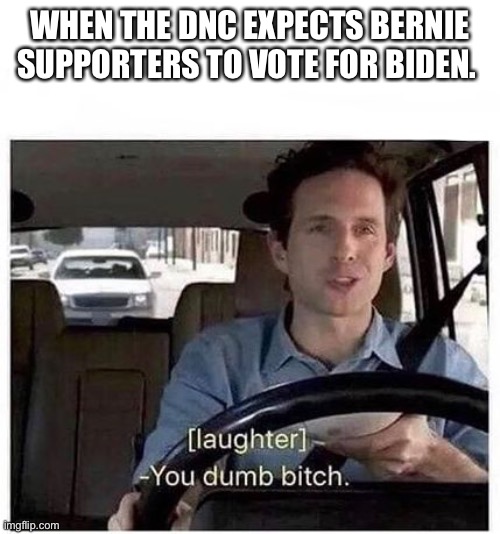 You dumb bitch | WHEN THE DNC EXPECTS BERNIE SUPPORTERS TO VOTE FOR BIDEN. | image tagged in you dumb bitch,WayOfTheBern | made w/ Imgflip meme maker