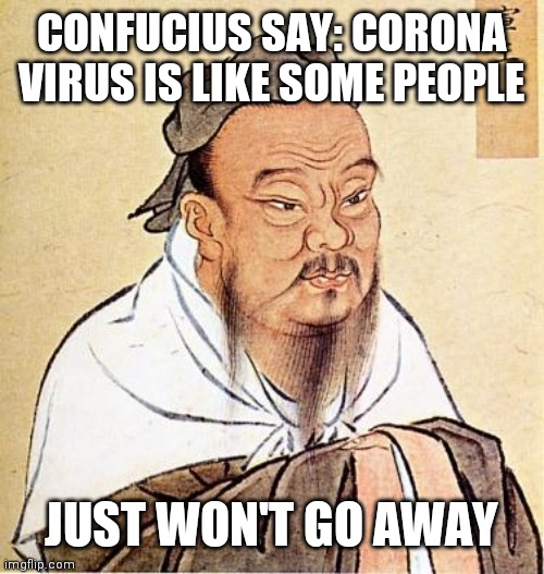 Confucius say | CONFUCIUS SAY: CORONA VIRUS IS LIKE SOME PEOPLE; JUST WON'T GO AWAY | image tagged in confucious say | made w/ Imgflip meme maker