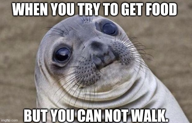 Awkward Moment Sealion | WHEN YOU TRY TO GET FOOD; BUT YOU CAN NOT WALK. | image tagged in memes,awkward moment sealion | made w/ Imgflip meme maker