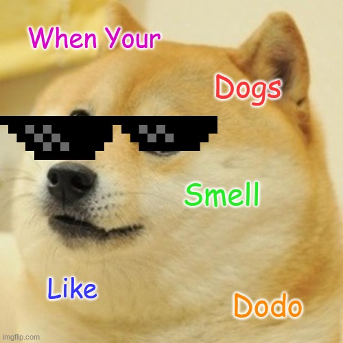 Doge Meme | When Your; Dogs; Smell; Like; Dodo | image tagged in memes,doge | made w/ Imgflip meme maker