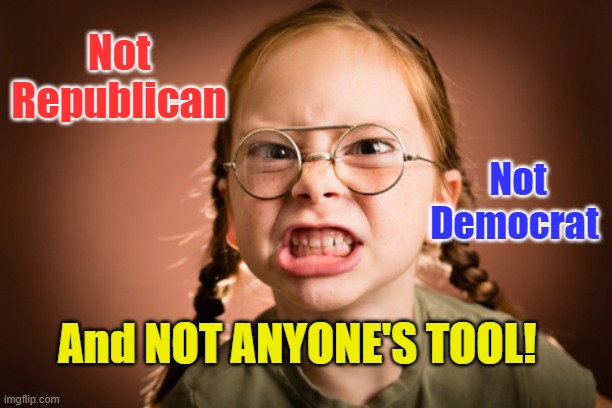 The Independent Voter | Not Republican; Not Democrat; And NOT ANYONE'S TOOL! | image tagged in independent,not republican,not democrat,vote,patriot | made w/ Imgflip meme maker