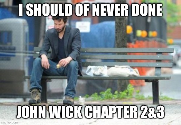 Sad Keanu | I SHOULD OF NEVER DONE; JOHN WICK CHAPTER 2&3 | image tagged in memes,sad keanu | made w/ Imgflip meme maker