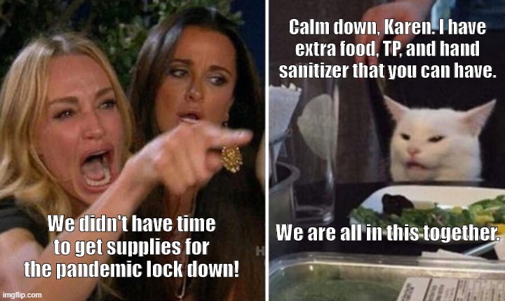 Calm down, Karen. I have extra food, TP, and hand sanitizer that you can have. We are all in this together. We didn't have time to get supplies for the pandemic lock down! | image tagged in coronavirus,covid-19,solidarity,togetherness | made w/ Imgflip meme maker