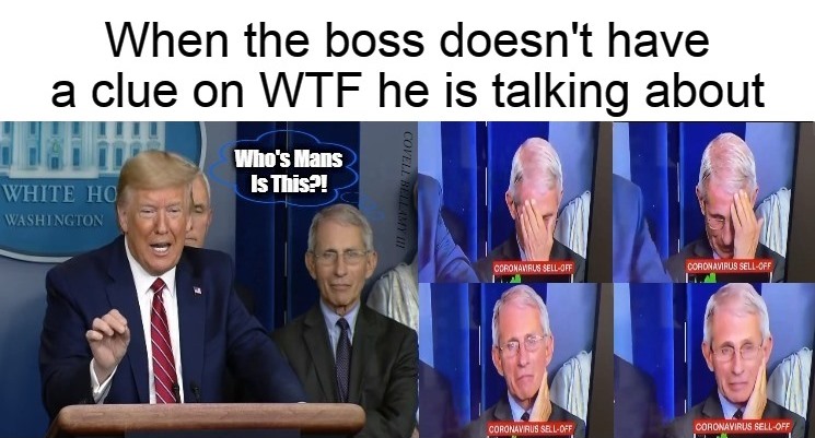 High Quality When the boss doesn't have a clue On WTF he is talking about Blank Meme Template