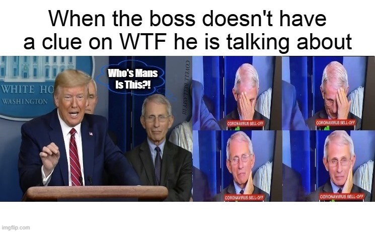 When the boss doesn't have a clue On WTF he is talking about | image tagged in when the boss doesn't have a clue on wtf he is talking about | made w/ Imgflip meme maker