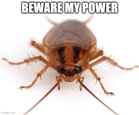 Roach | BEWARE MY POWER | image tagged in roach | made w/ Imgflip meme maker