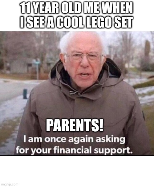 A man has fallen into the river in Lego city? | 11 YEAR OLD ME WHEN I SEE A COOL LEGO SET; PARENTS! | image tagged in i am once again asking for your financial support,lego,bernie sanders,oof size large,shut up and take my money fry | made w/ Imgflip meme maker