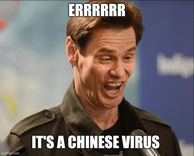 DERRRP! | ERRRRRR; IT'S A CHINESE VIRUS | image tagged in derrrp | made w/ Imgflip meme maker