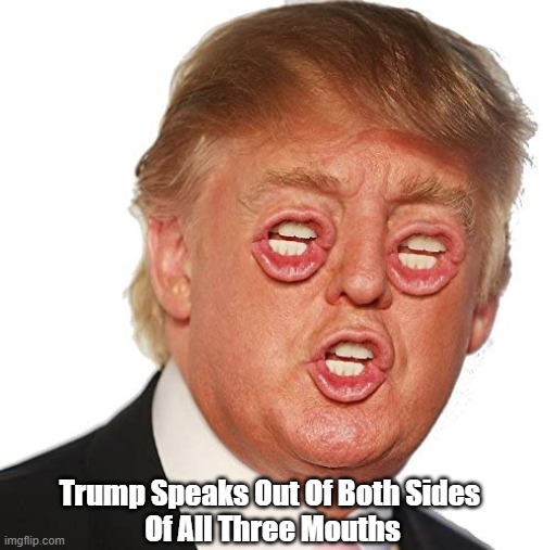 "Trump Speaks Out Of Both Sides... Of All Three Mouths" | Trump Speaks Out Of Both Sides 
Of All Three Mouths | image tagged in pants on fire liar,dishonest donald,mendacious donald,trump lies more easily than he metabolizes,deplorable donald,despicable do | made w/ Imgflip meme maker