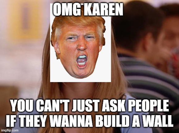 OMG Karen | OMG KAREN; YOU CAN'T JUST ASK PEOPLE IF THEY WANNA BUILD A WALL | image tagged in memes,omg karen | made w/ Imgflip meme maker