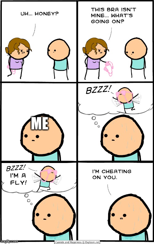 ME | image tagged in cyanide and happiness,bra,fly,cheating | made w/ Imgflip meme maker