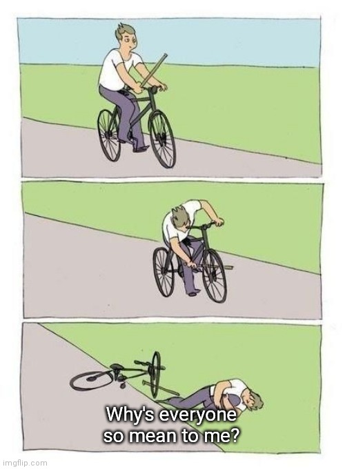 Bike Fall Meme | Why's everyone so mean to me? | image tagged in bicycle | made w/ Imgflip meme maker