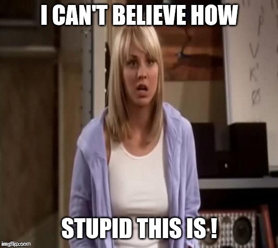 Confused Penny | I CAN'T BELIEVE HOW STUPID THIS IS ! | image tagged in confused penny | made w/ Imgflip meme maker