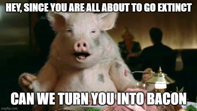 pork cannibal  | HEY, SINCE YOU ARE ALL ABOUT TO GO EXTINCT; CAN WE TURN YOU INTO BACON | image tagged in pork cannibal | made w/ Imgflip meme maker