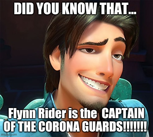 Flynn Rider face | DID YOU KNOW THAT... Flynn Rider is the  CAPTAIN OF THE CORONA GUARDS!!!!!!! | image tagged in flynn rider face | made w/ Imgflip meme maker