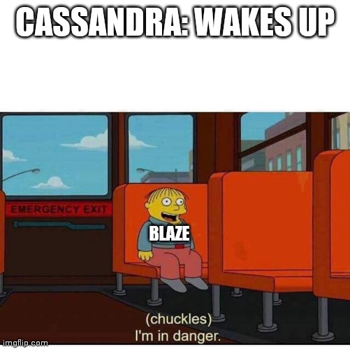 I'm in danger | CASSANDRA: WAKES UP; BLAZE | image tagged in i'm in danger | made w/ Imgflip meme maker