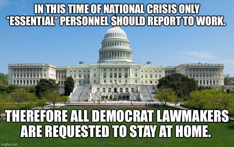 Let’s let the grownups handle this. | IN THIS TIME OF NATIONAL CRISIS ONLY *ESSENTIAL* PERSONNEL SHOULD REPORT TO WORK. THEREFORE ALL DEMOCRAT LAWMAKERS ARE REQUESTED TO STAY AT HOME. | image tagged in capitol hill,coronavirus,covid-19 | made w/ Imgflip meme maker