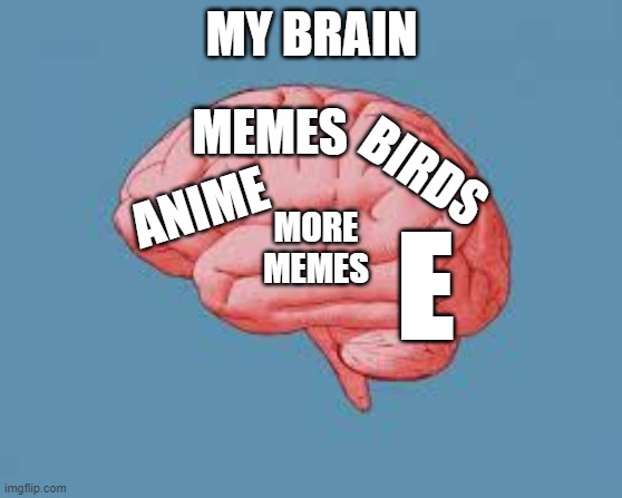 MY BRAIN; MEMES; BIRDS; ANIME; MORE MEMES; E | made w/ Imgflip meme maker