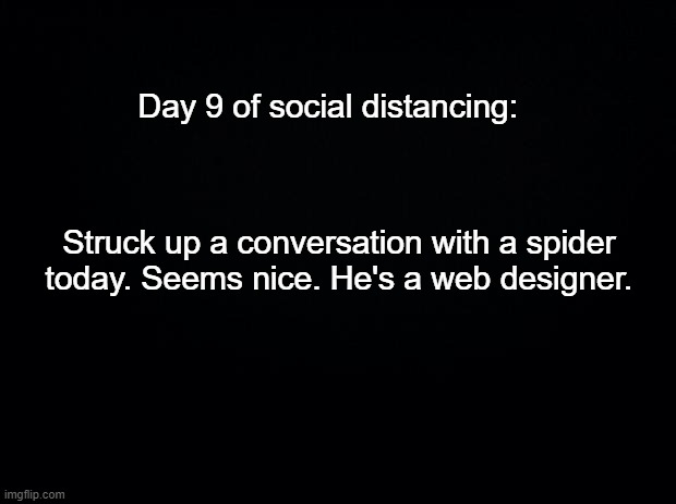 Black background | Day 9 of social distancing:; Struck up a conversation with a spider today. Seems nice. He's a web designer. | image tagged in black background | made w/ Imgflip meme maker