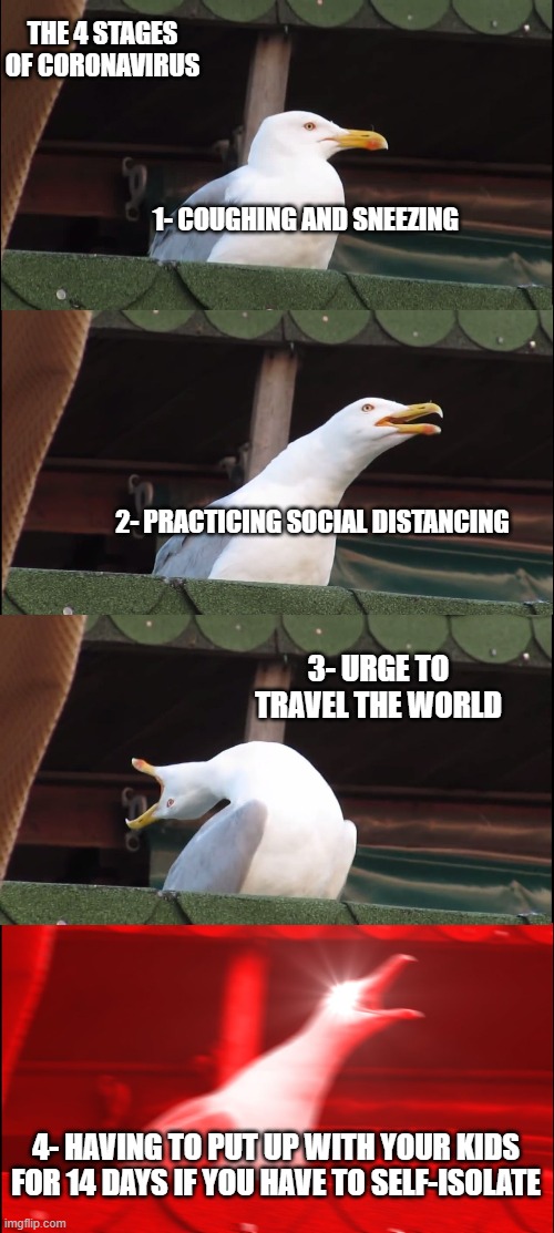 Inhaling Seagull | THE 4 STAGES OF CORONAVIRUS; 1- COUGHING AND SNEEZING; 2- PRACTICING SOCIAL DISTANCING; 3- URGE TO TRAVEL THE WORLD; 4- HAVING TO PUT UP WITH YOUR KIDS FOR 14 DAYS IF YOU HAVE TO SELF-ISOLATE | image tagged in memes,inhaling seagull | made w/ Imgflip meme maker