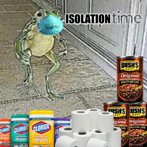 ISOLATION | image tagged in coronavirus,frog,soup,corona virus,covid-19,toilet paper | made w/ Imgflip meme maker