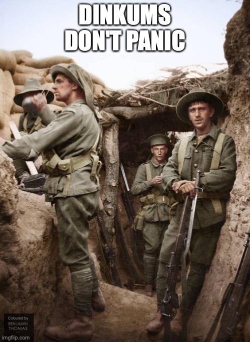 Dinkums Don't Panic | DINKUMS DON'T PANIC | image tagged in dinkums,aussies,diggers,soldiers,covid-19 | made w/ Imgflip meme maker
