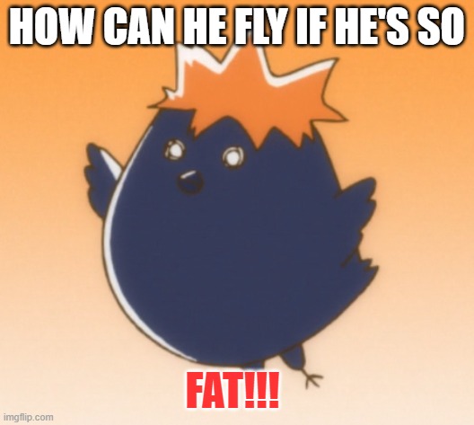 HOW CAN HE FLY IF HE'S SO; FAT!!! | made w/ Imgflip meme maker