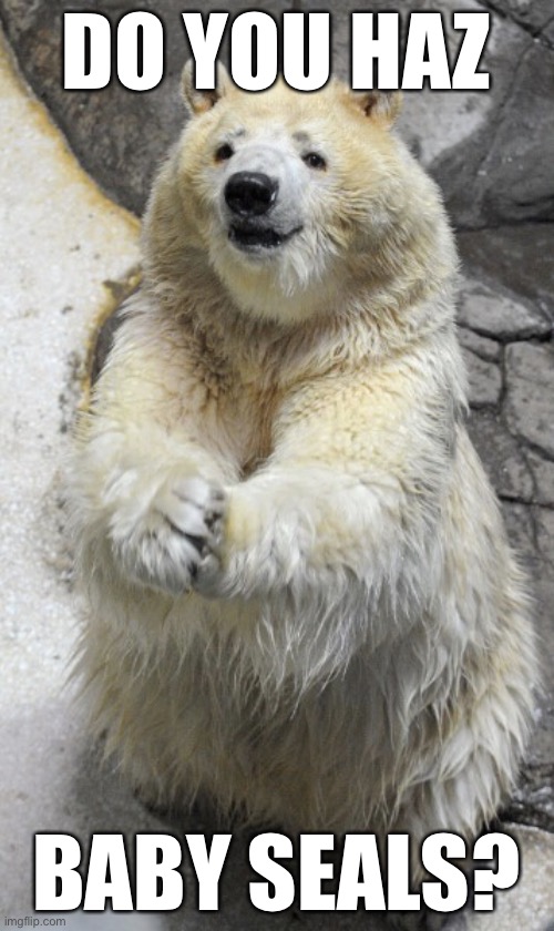 Everything is Cute When Polar Bears Do it | DO YOU HAZ; BABY SEALS? | image tagged in diabolical polar bear,memes,funny | made w/ Imgflip meme maker