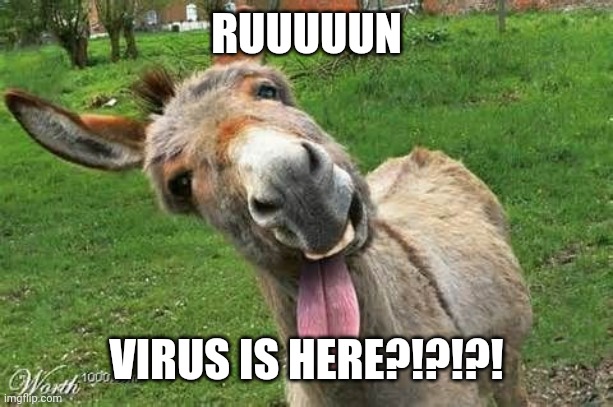 RUUUUUN VIRUS IS HERE?!?!?! | image tagged in laughing donkey | made w/ Imgflip meme maker
